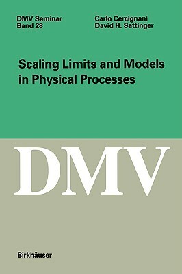 Scaling Limits and Models in Physical Processes by Carlo Cercignani, David Sattinger