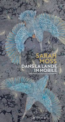 Dans la lande immobile by Sarah Moss