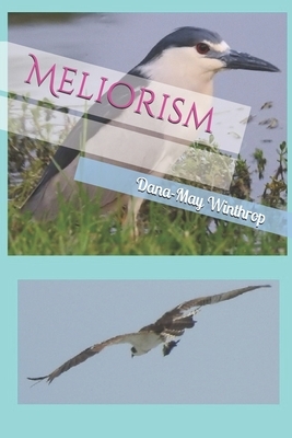 Meliorism by Dana-May Winthrop