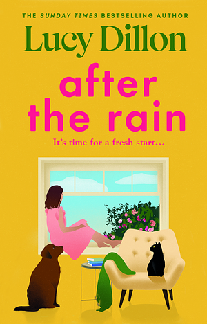 After the Rain by Lucy Dillon