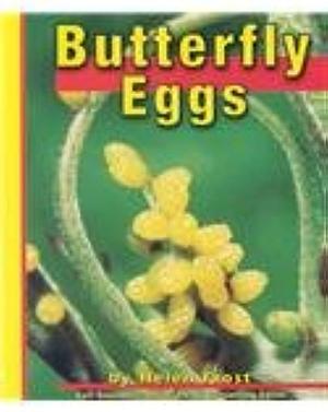 Butterfly Eggs by Helen Frost