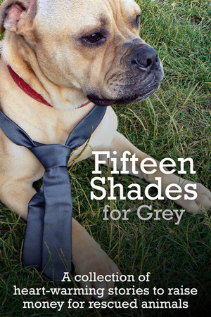 Fifteen Shades for Grey by Perry Iles, Lee Williams, J.D. Lewis, Gillian Hamer, Barbara Scott Emmett, Lorraine Mace, J.J. Marsh, Chris Curran, J.W. Hicks, Liza Perrat, Edward Marnier