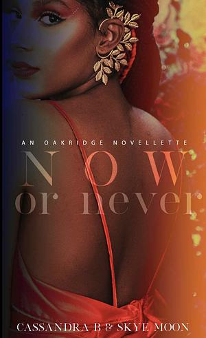 Now or Never by Skye Moon