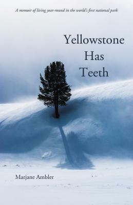 Yellowstone Has Teeth: A Memoir of Living in Yellowstone by Marjane Ambler