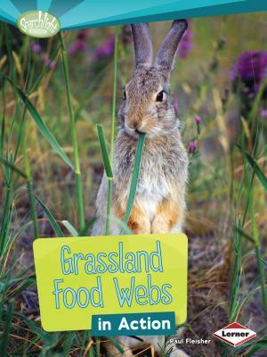 Grassland Food Webs in Action by Paul Fleisher