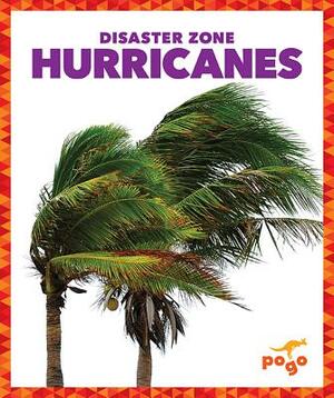 Hurricanes by Cari Meister