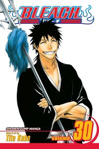 Bleach, Vol. 30: There Is No Heart Without You by Tite Kubo