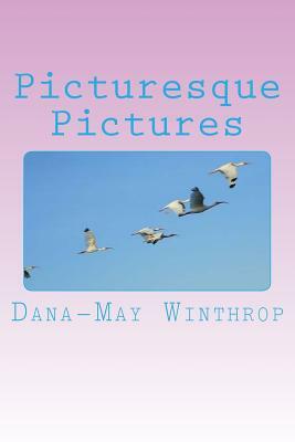 Picturesque Pictures by Dana-May Winthrop