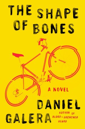 The Shape of Bones by Daniel Galera