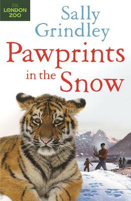 Paw Prints in the Snow by Sally Grindley