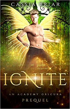 Ignite: A Prequel Novella by Cassia Briar