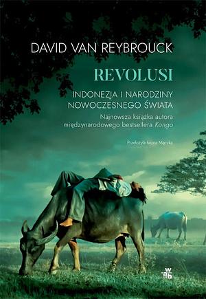 Revolusi. Indonezja i narodziny nowoczesnego świata by Iwona Mączka, David Van Reybrouck