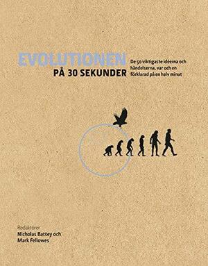 Evolutionen på 30 sekunder by Mark Fellowes