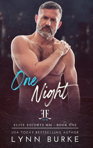 One Night  by Lynn Burke