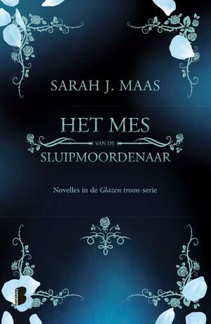 Het Mes van de Sluipmoordenaar by Sarah J. Maas