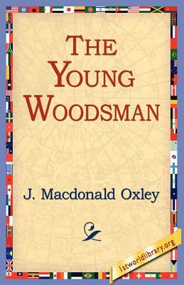The Young Woodsman by J. MacDonald Oxley