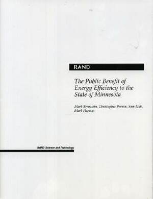 The Public Benefit of Energy Efficiency for Minnesota by Mark A. Bernstein