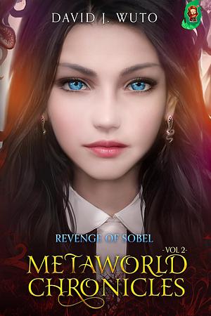 Metaworld Chronicles: Vol.2 by David J. Wuto