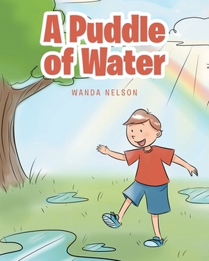 A Puddle of Water by Wanda Nelson