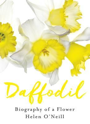 Daffodil by Helen O'Neill