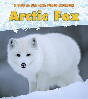 Arctic Fox by Katie Marsico