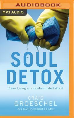 Soul Detox: Clean Living in a Contaminated World by Craig Groeschel