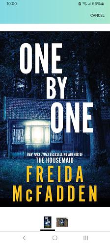 One By One by Freida McFadden