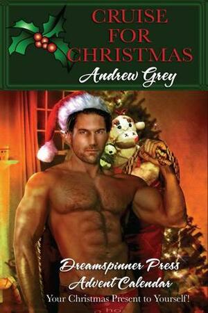 Cruise for Christmas by Andrew Grey