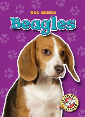 Beagles by Sara Green