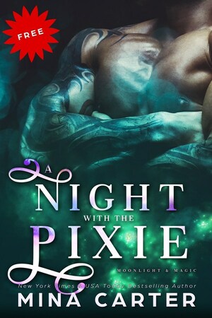 A Night with the Pixie by Mina Carter