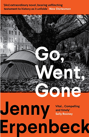 Go, Went, Gone by Jenny Erpenbeck