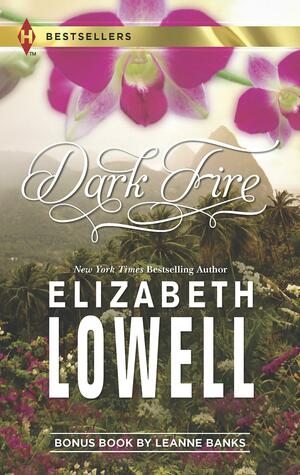 Dark Fire: Expecting His Child by Elizabeth Lowell, Leanne Banks