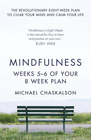 Mindfulness: Weeks 7-8 of Your 8-Week Program by Michael Chaskalson