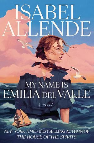 My Name Is Emilia del Valle by Isabel Allende, Frances Riddle