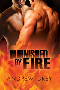Burnished by Fire by Andrew Grey
