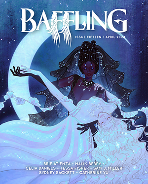 Baffling Magazine, Issue 15 by dave ring