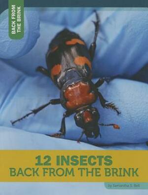 12 Insects Back from the Brink by Samantha S. Bell