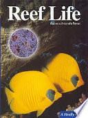 Reef Life by Andrea Ferrari, Antonella Ferrari, Linda M. Eklund