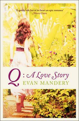 Q: A Love Story by Evan Mandery