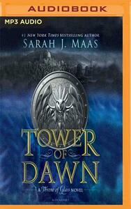 Tower of Dawn by Sarah J. Maas