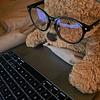 leos_library17's profile picture