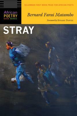 Stray by Bernard Farai Matambo