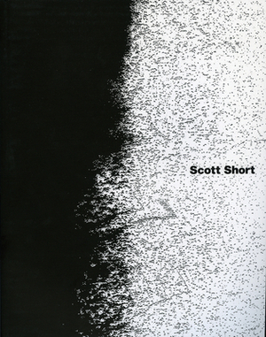 Scott Short by Michelle Grabner, Hamza Walker