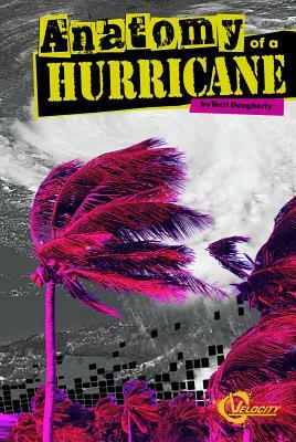 Anatomy of a Hurricane by Terri Dougherty