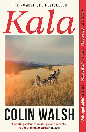 KALA: 'a Spectacular Read for Donna Tartt and Tana French Fans'. by Colin Walsh