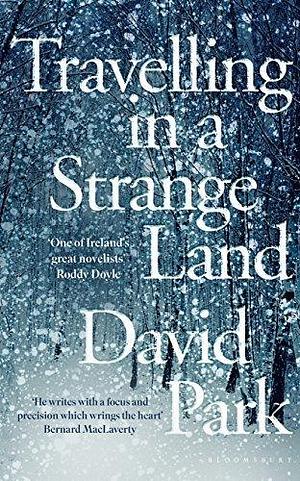 Travelling in a Strange Land: Winner of the Kerry Group Irish Novel of the Year by David Park, David Park