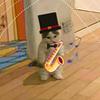 toastedbreadandjam's profile picture