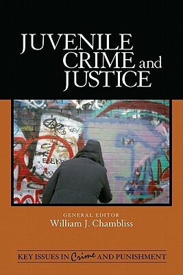 Juvenile Crime and Justice by 