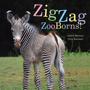 Zigzag Zooborns!: Zoo Baby Colors and Patterns by Andrew Bleiman, Chris Eastland