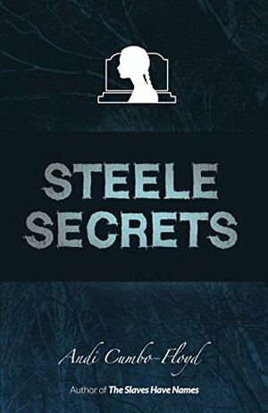 Steele Secrets: A Young Adult Ghost Story by Andi Cumbo-Floyd